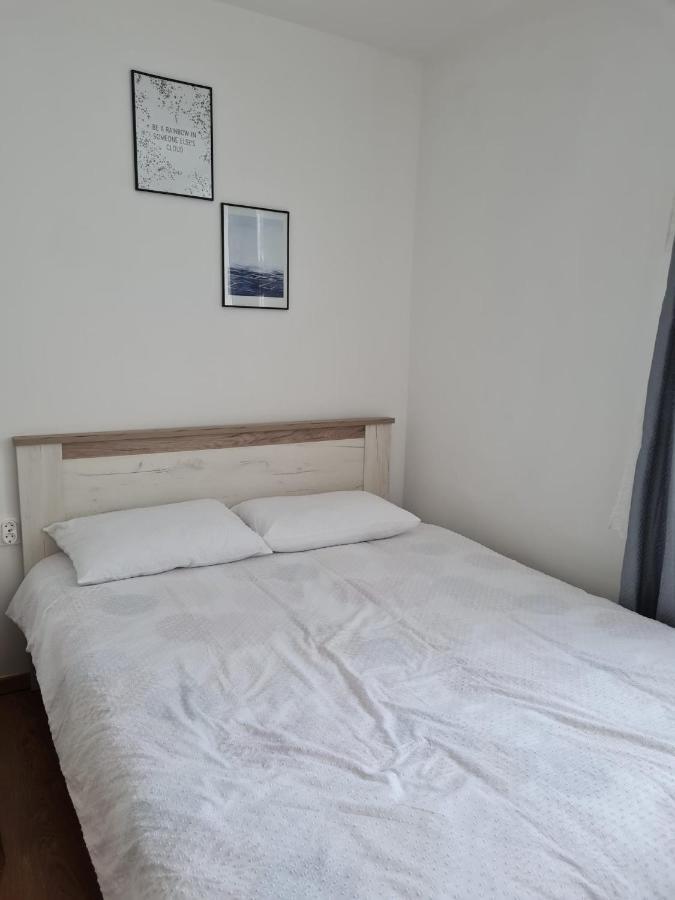 Dddd Apartament Cavnic Ngoại thất bức ảnh